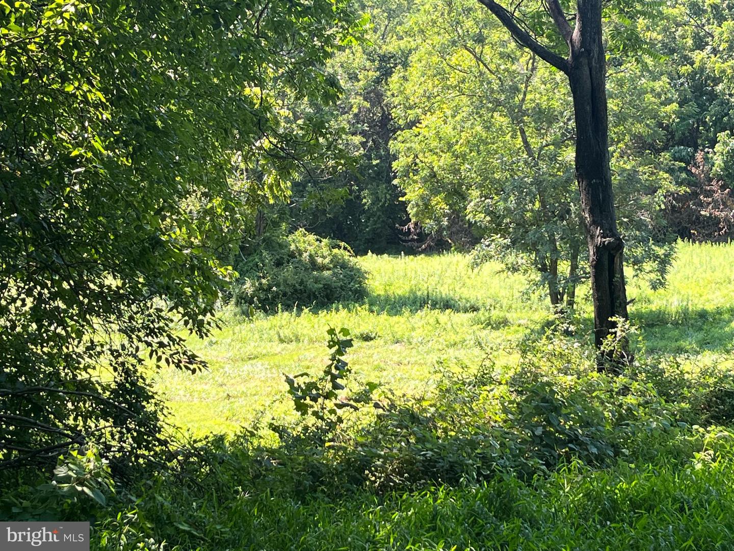 Lot 12 Madelyn Dr Property Photo 1