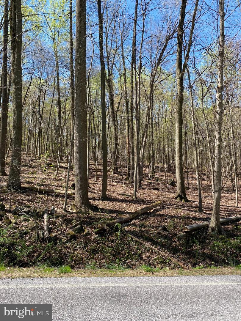 Proposed Lot D-2 Potts Hill Road Property Photo