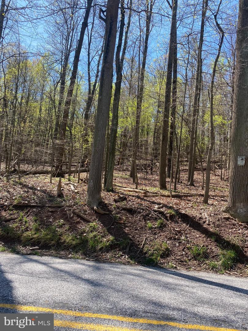 Proposed Lot D-1 Potts Hill Road Property Photo