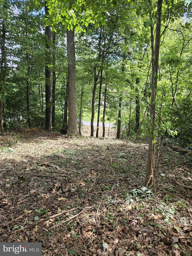 Lot 492 Sycamore Trl Property Photo