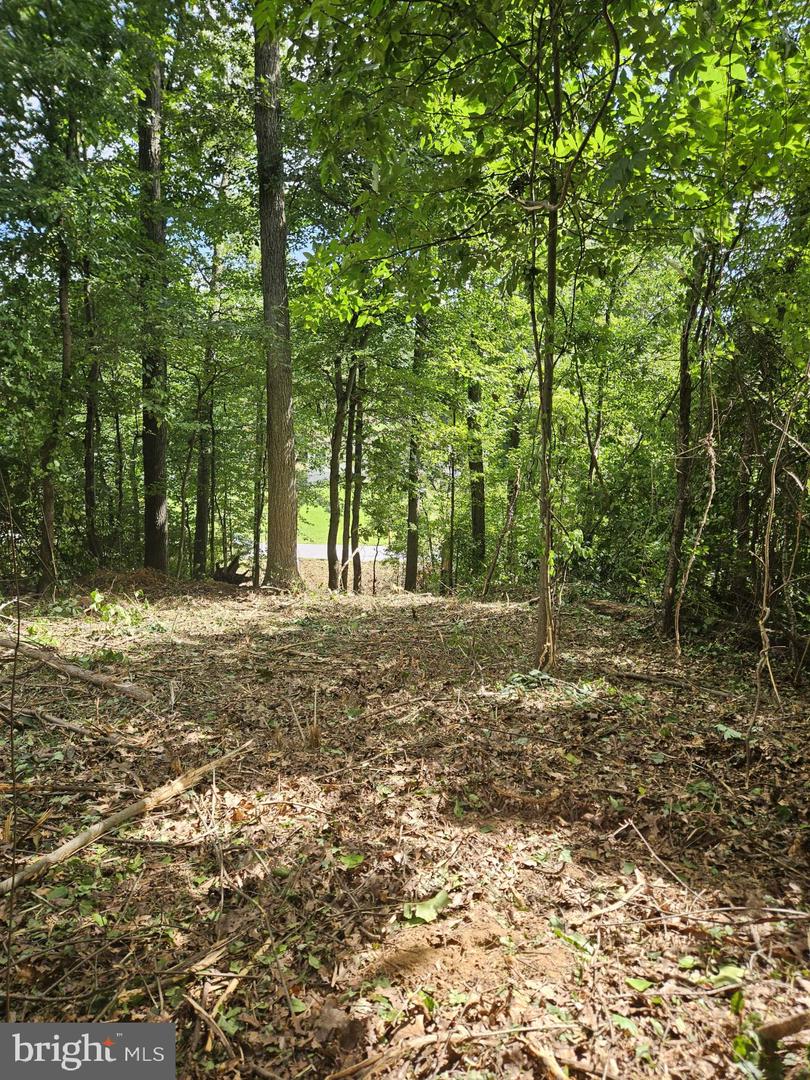 Lot 492 Sycamore Trl Property Photo 2