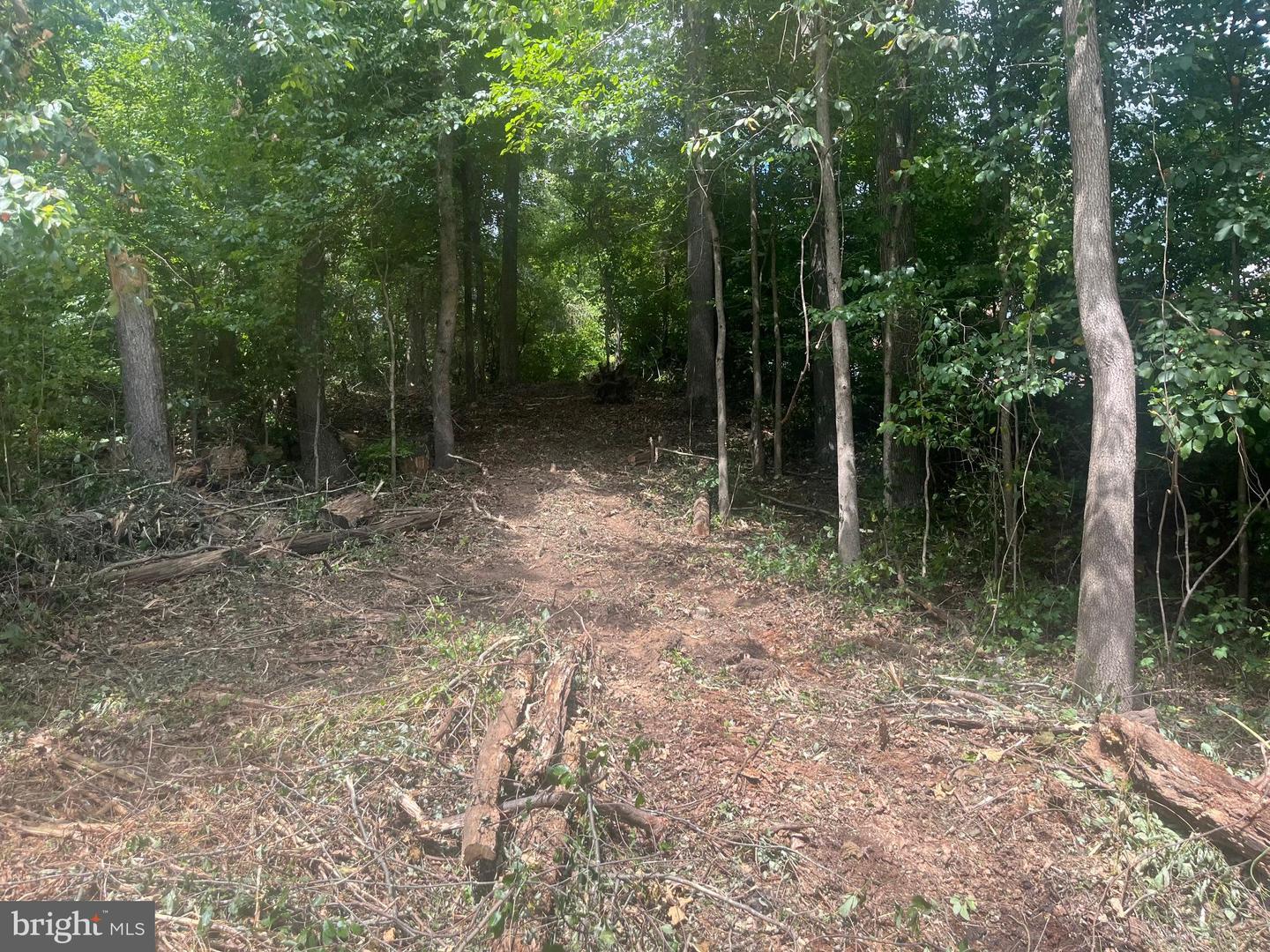 Lot 492 Sycamore Trl Property Photo 3