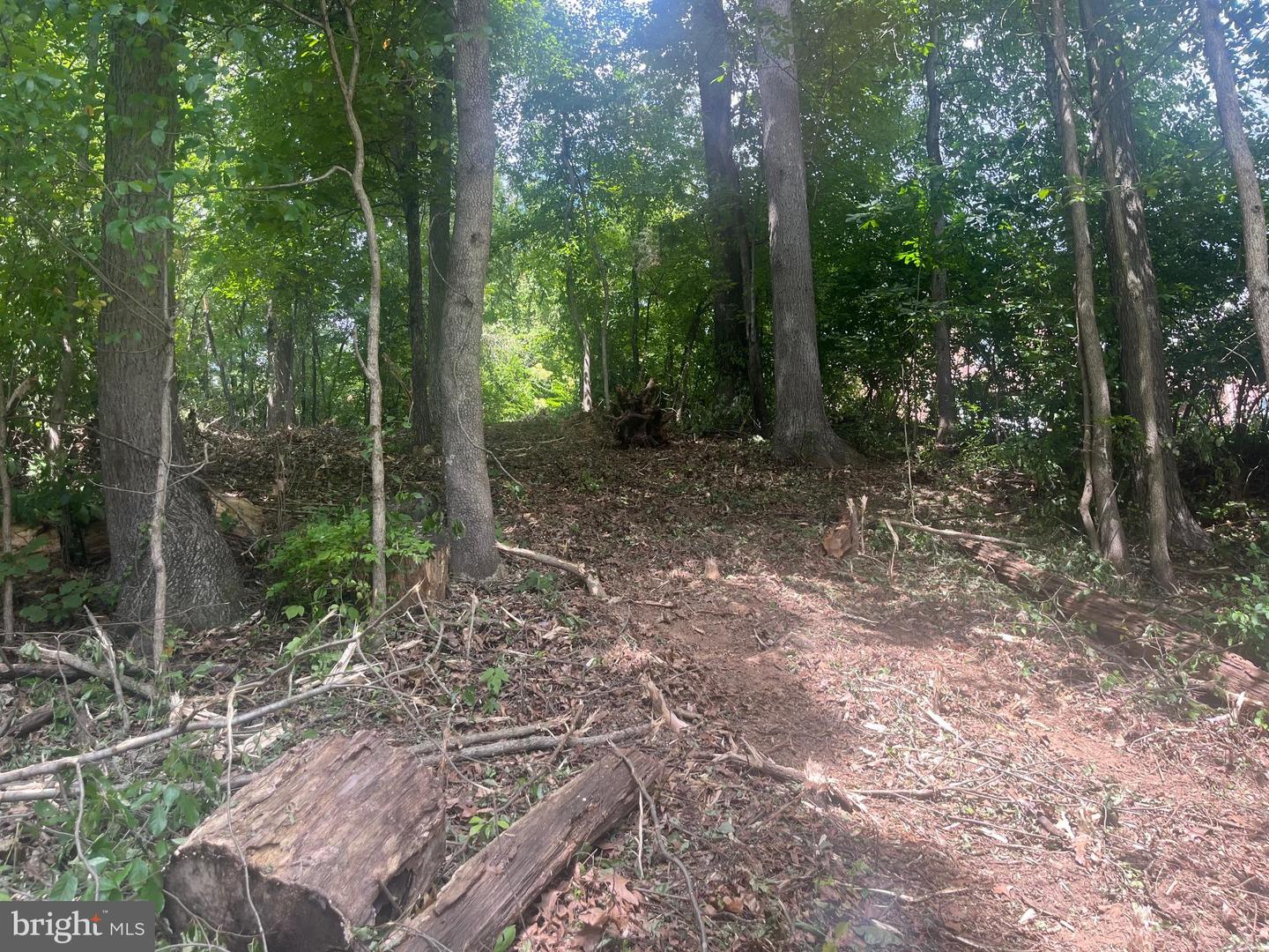 Lot 492 Sycamore Trl Property Photo 4