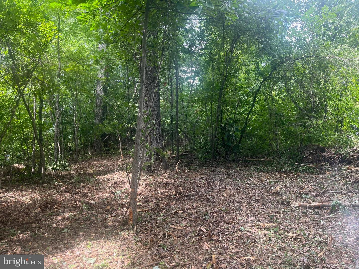 Lot 492 Sycamore Trl Property Photo 5