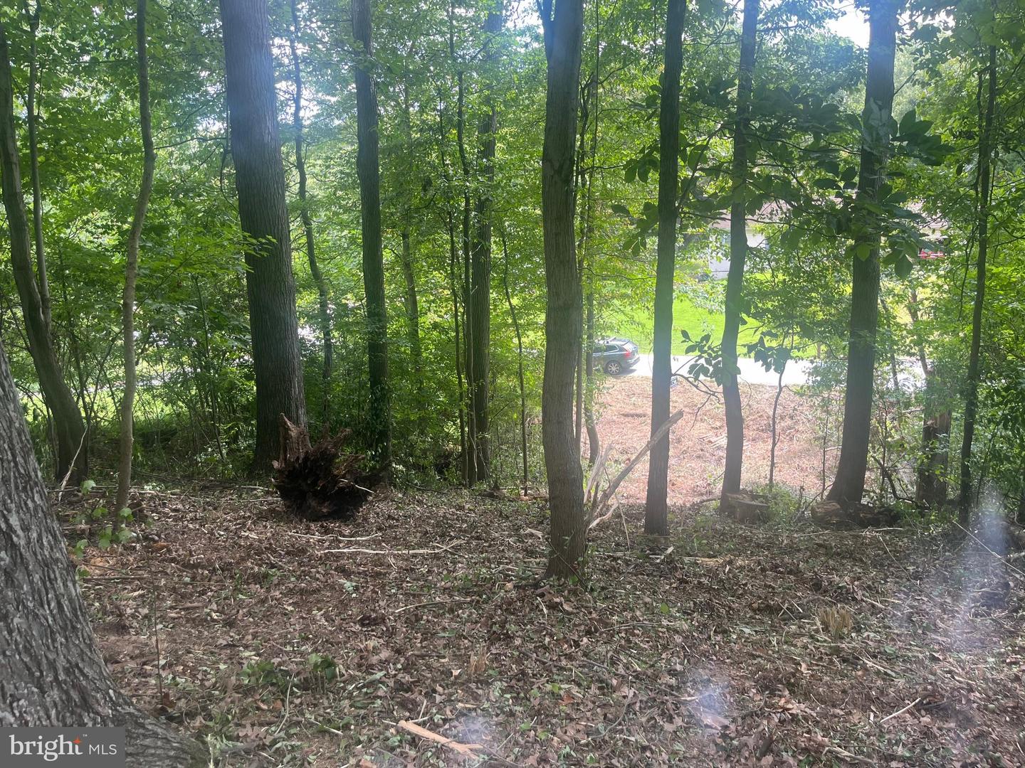 Lot 492 Sycamore Trl Property Photo 6