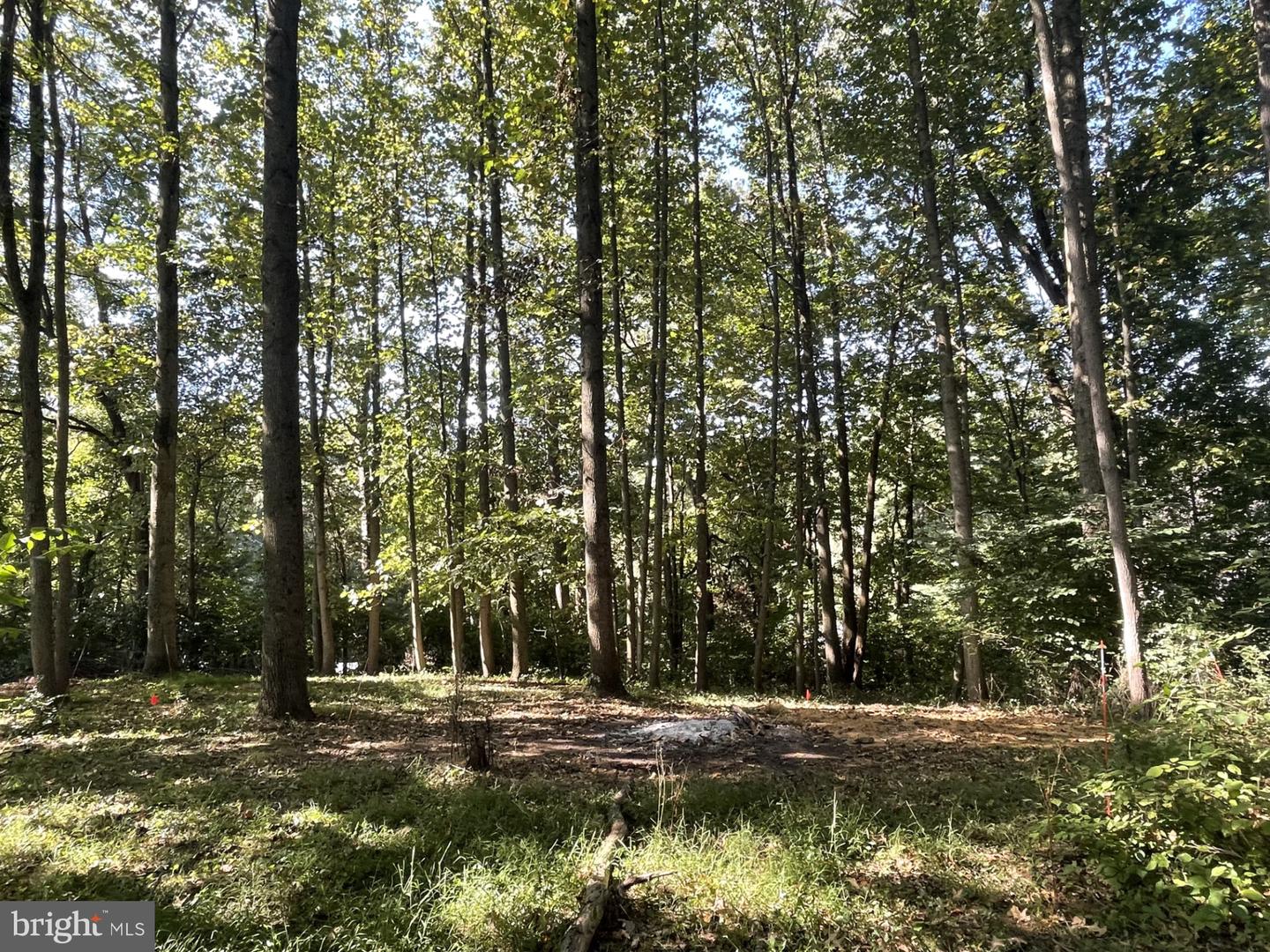 0 Black Oak Trail Property Photo