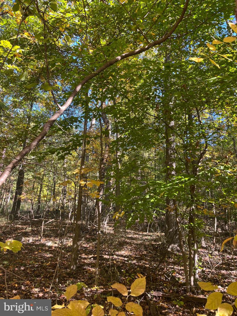 Lot 2 Big Spring Rd Property Photo 1