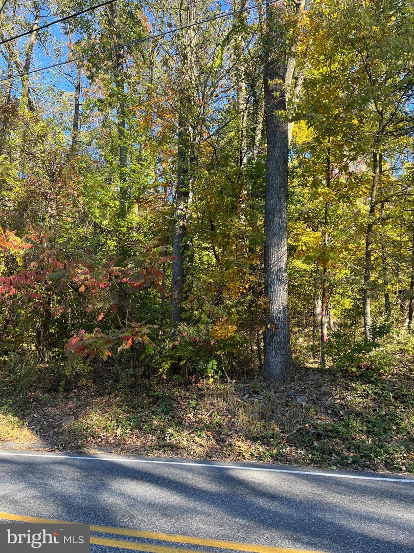 Lot 2 Big Spring Rd Property Photo 2