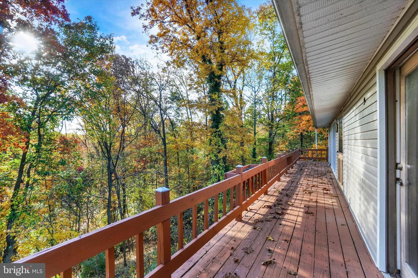 255 Meadow Rd Property Photo 30