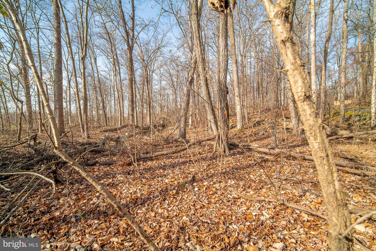 329 Mount Airy Rd Property Photo 1