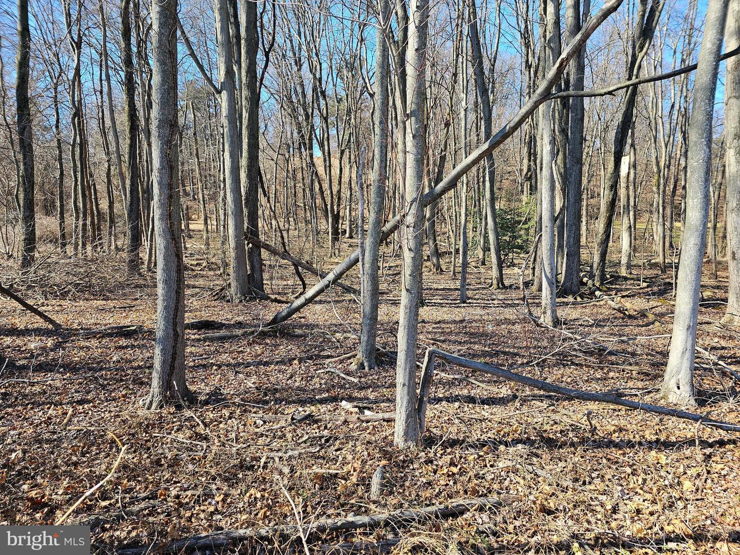 Lot No. 3 Cly Rd Property Photo
