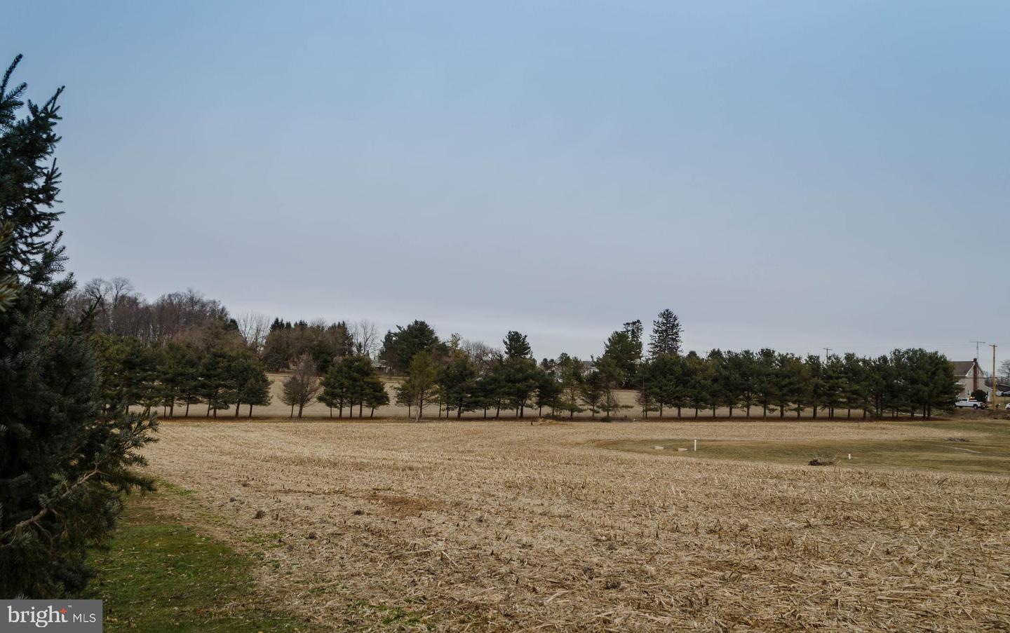 Vacant Lot Oak Ridge Ave Property Photo 3