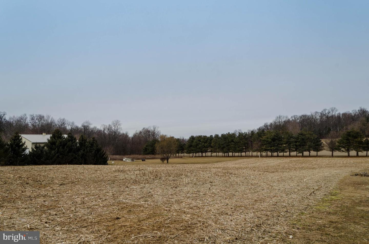 Vacant Lot Oak Ridge Ave Property Photo 4
