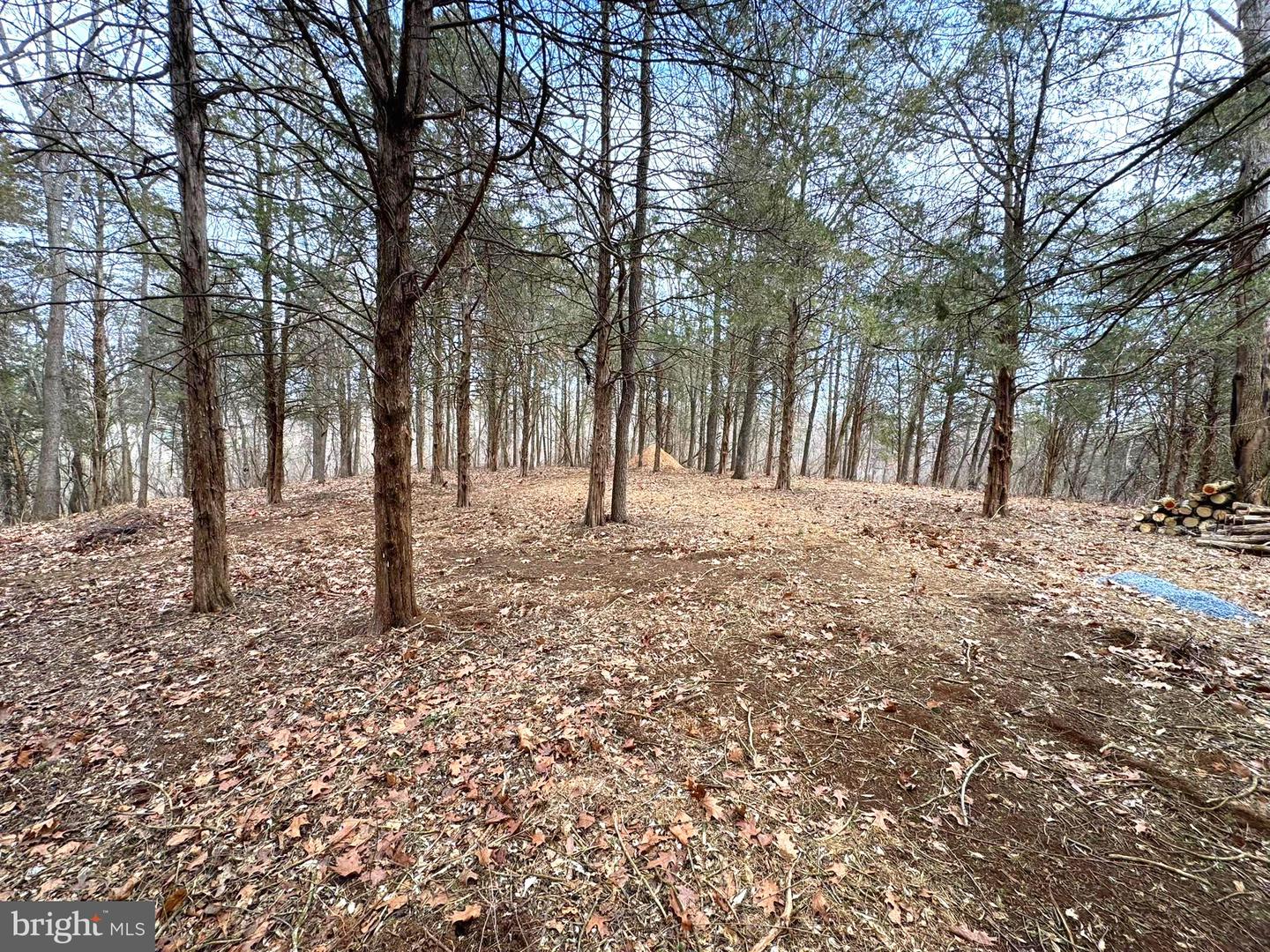 270 S WINDING RD Property Photo 1