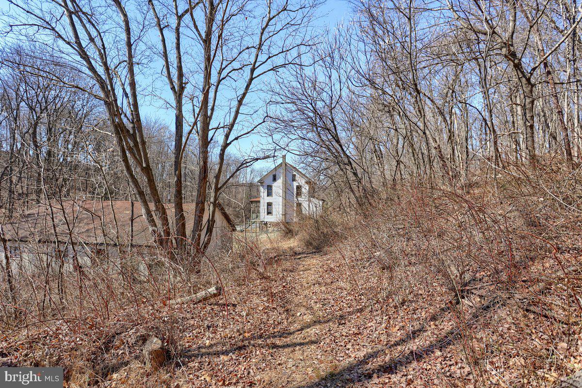 545 S Blacksmith Ave Property Photo 9