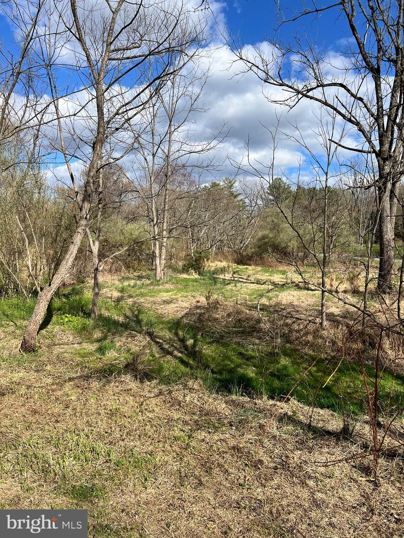 8140 Hokes Rd Property Photo 26