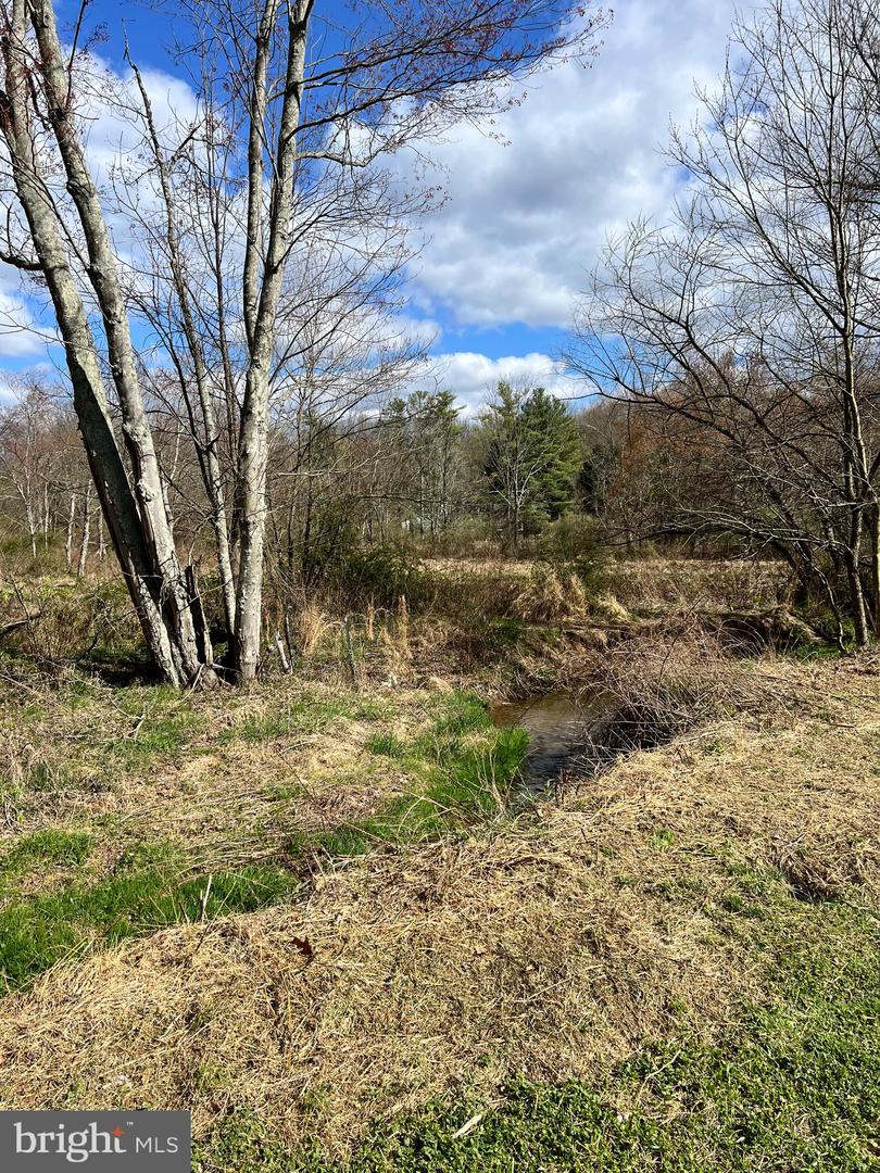 8140 Hokes Rd Property Photo 29