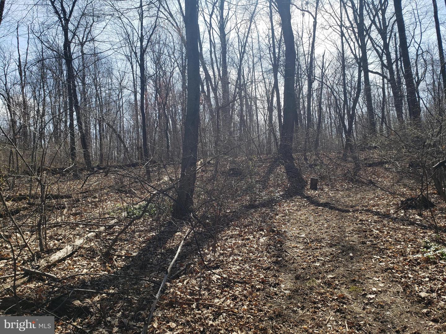731 Locust Grove Rd Property Photo 1