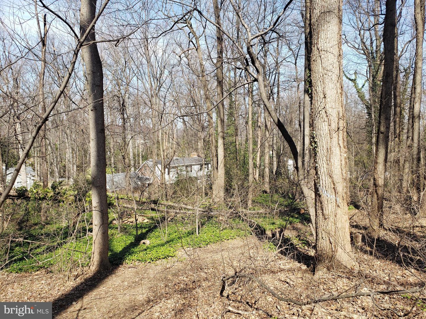 731 Locust Grove Rd Property Photo 5