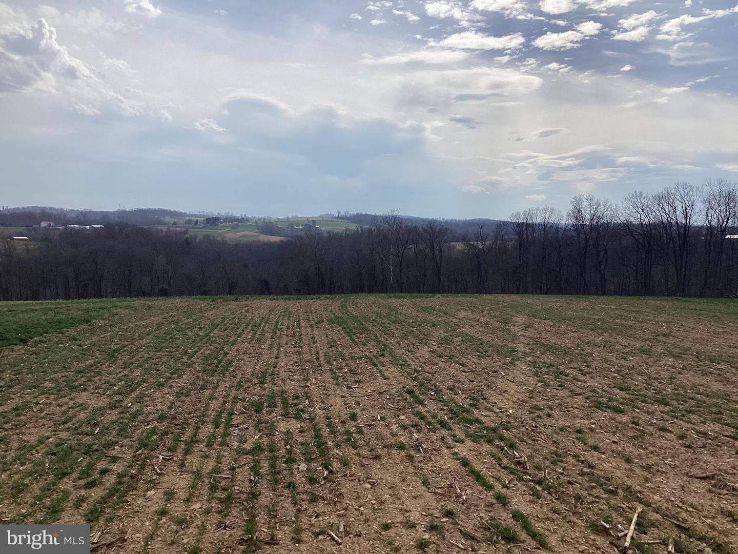 0 Pickle Off Rd Property Photo 1