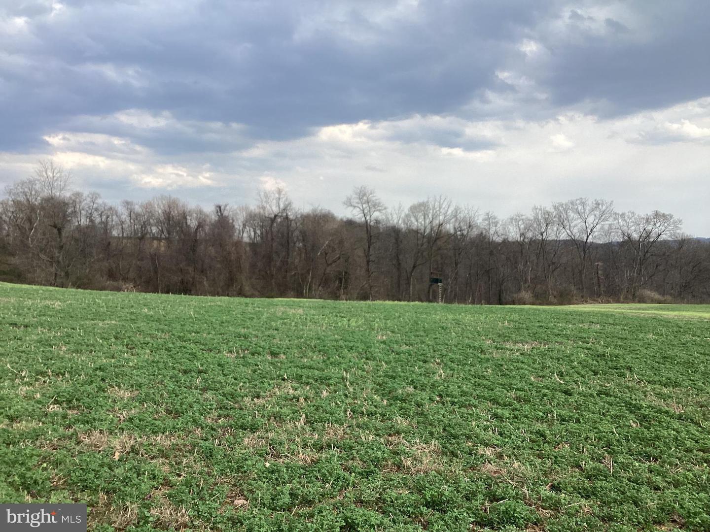 0 Pickle Off Rd Property Photo 5