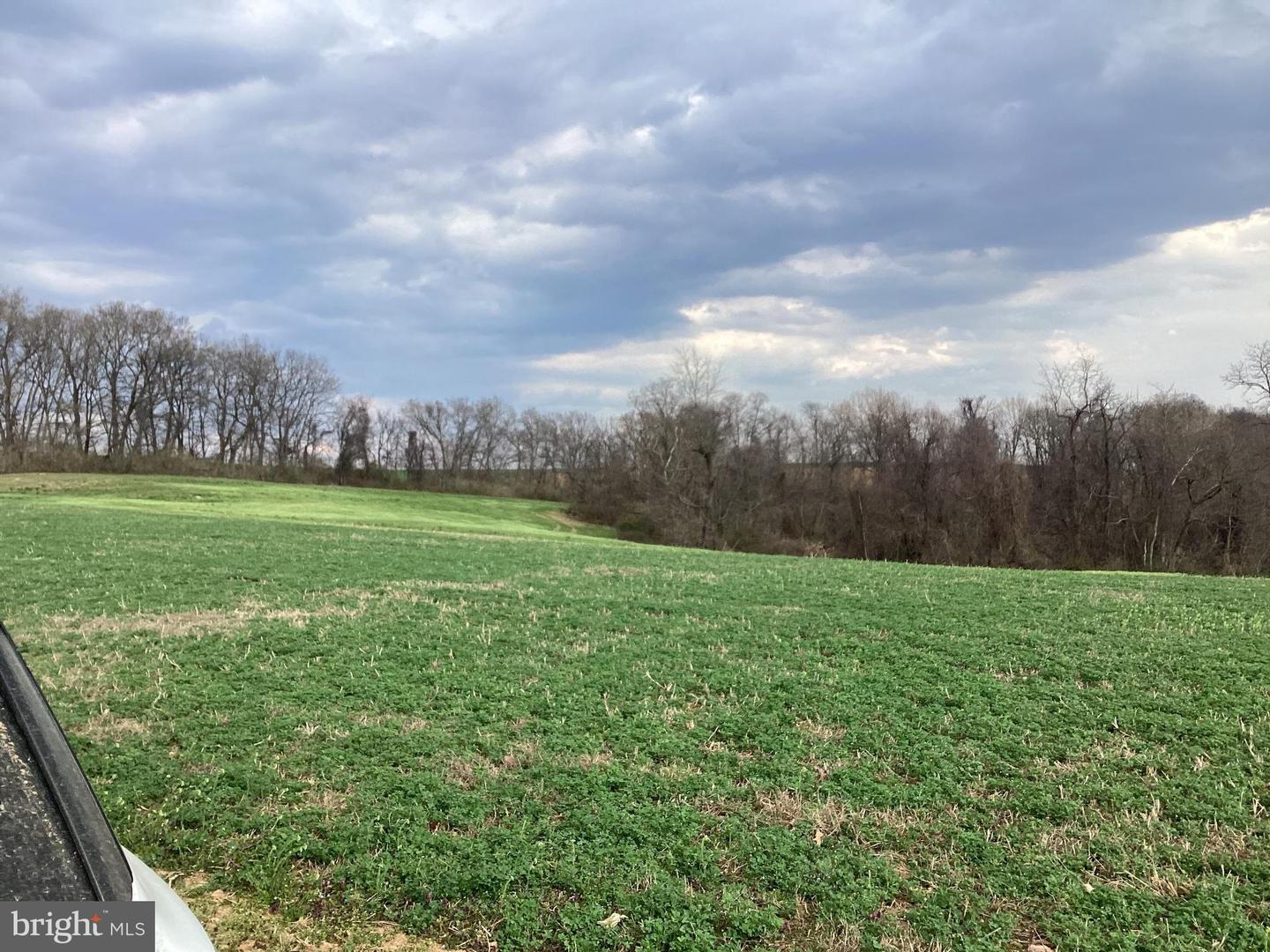 0 Pickle Off Rd Property Photo 6