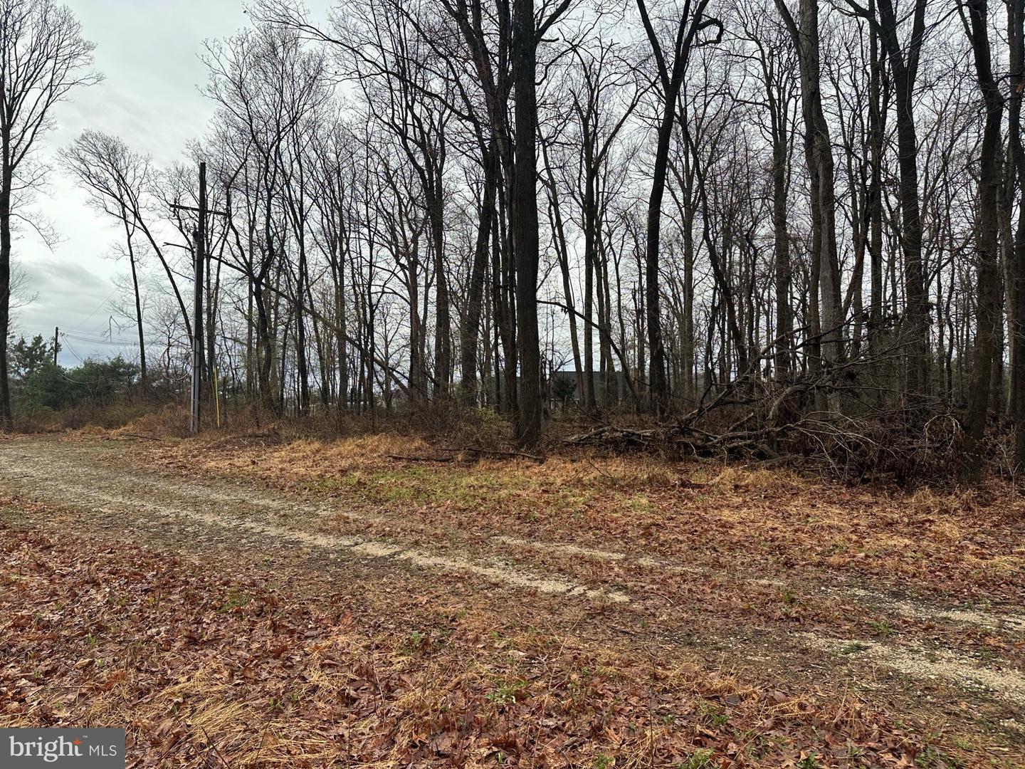 Lot #3 Maddox Road Property Photo 1