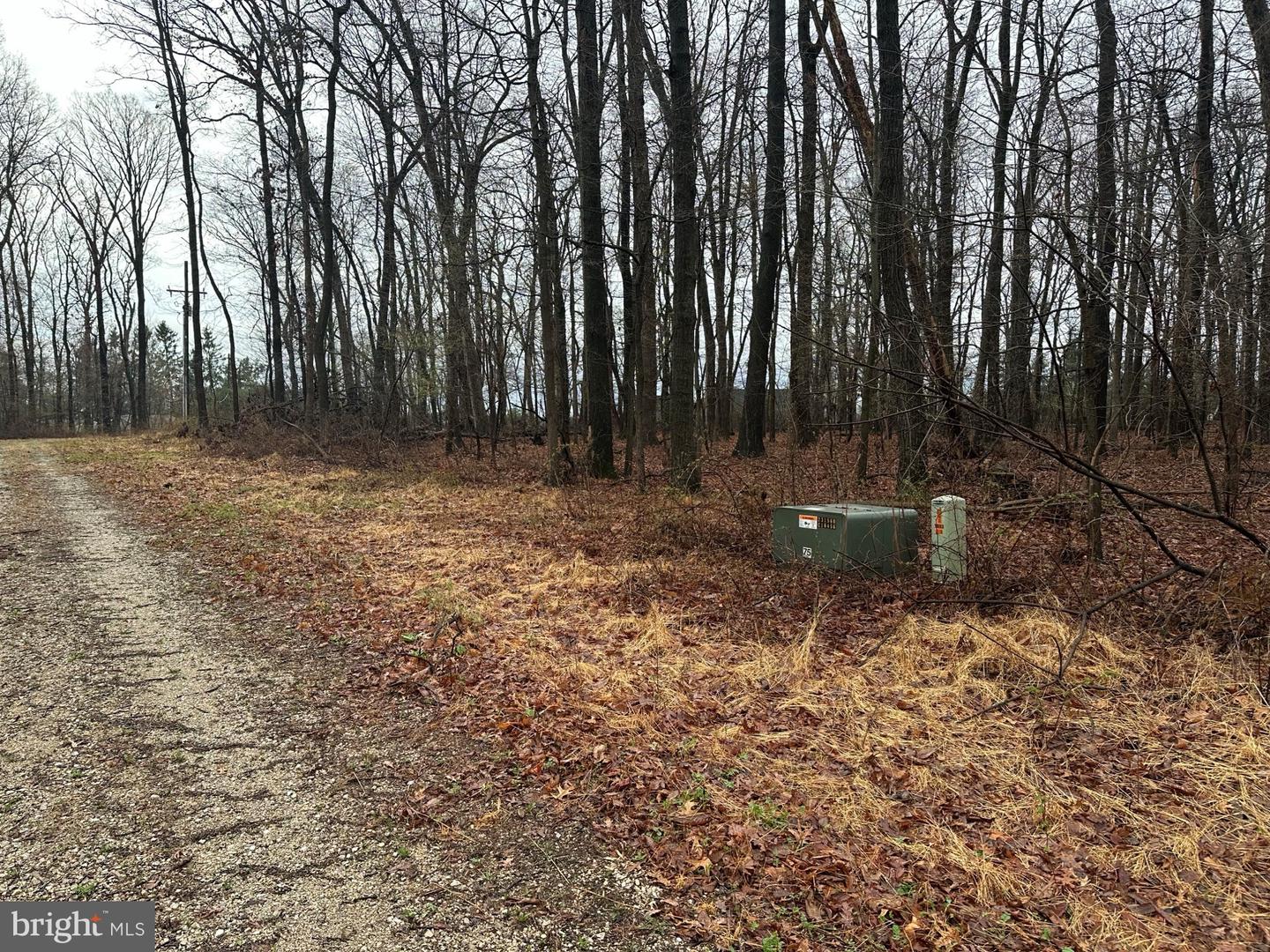 Lot #3 Maddox Road Property Photo 3