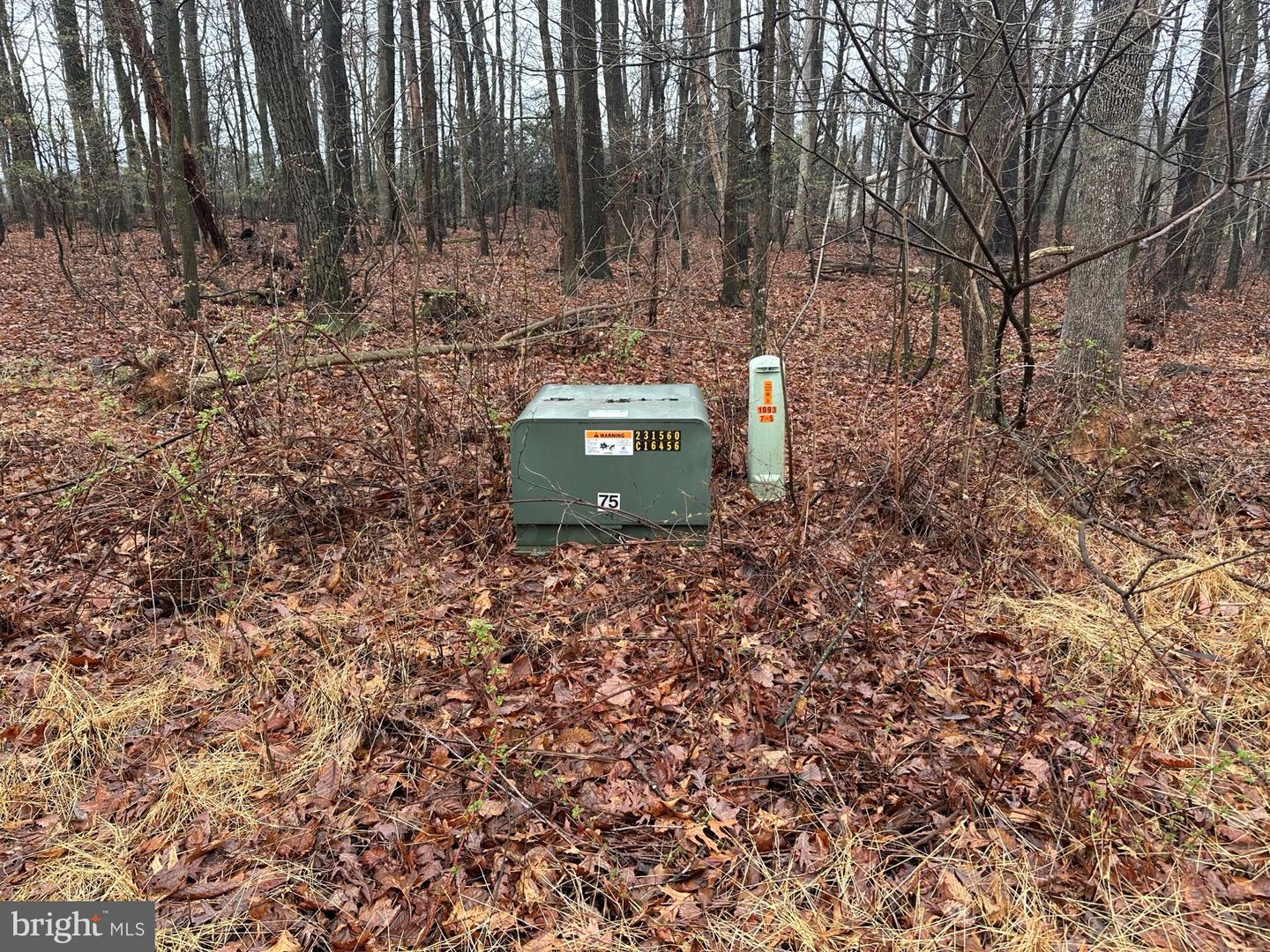 Lot #3 Maddox Road Property Photo 4