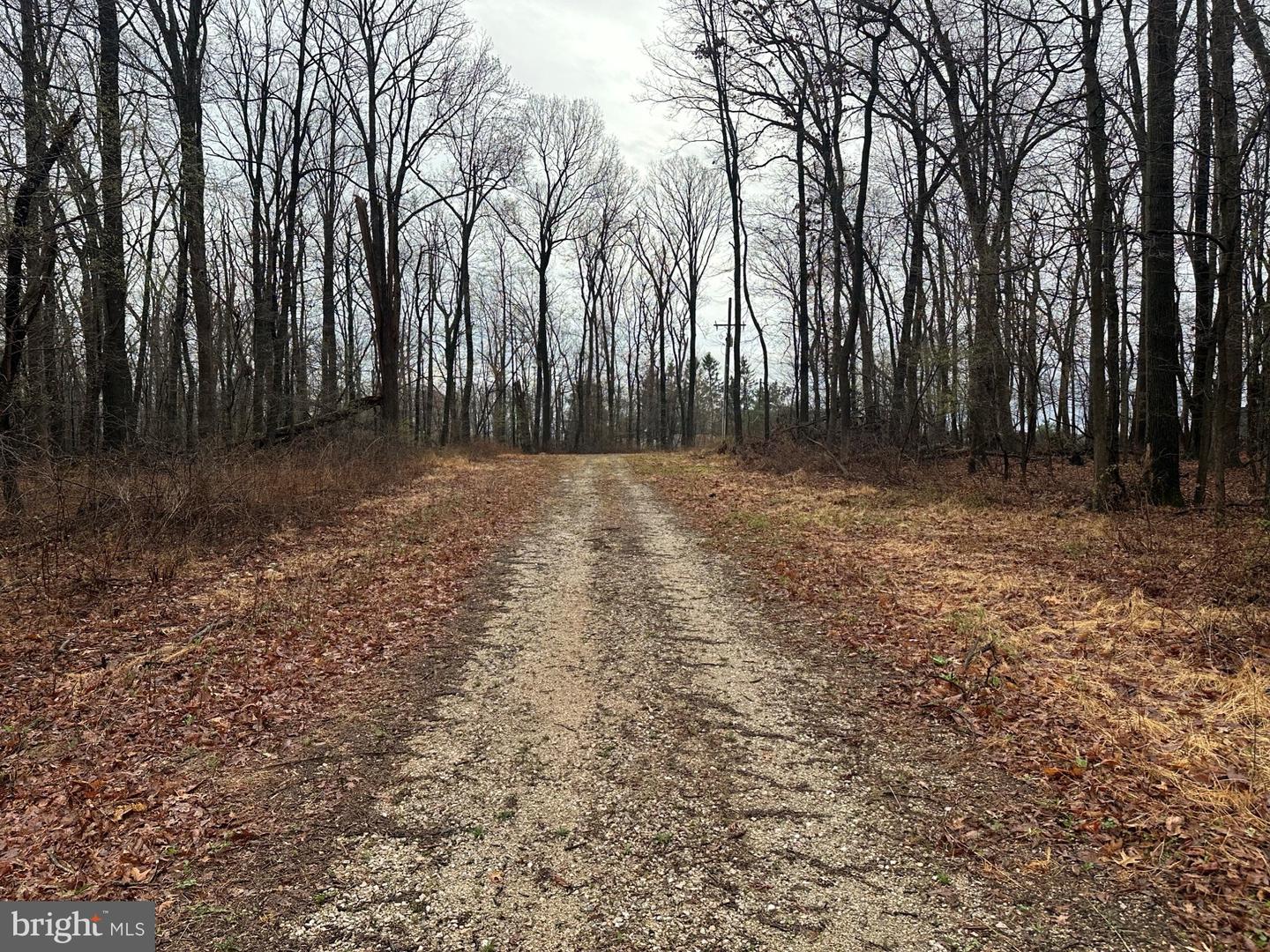 Lot #3 Maddox Road Property Photo 5