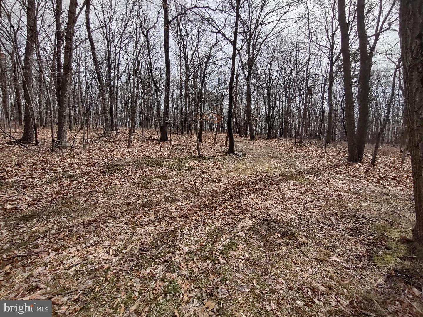 Lot Cold Springs Rd Property Photo 2