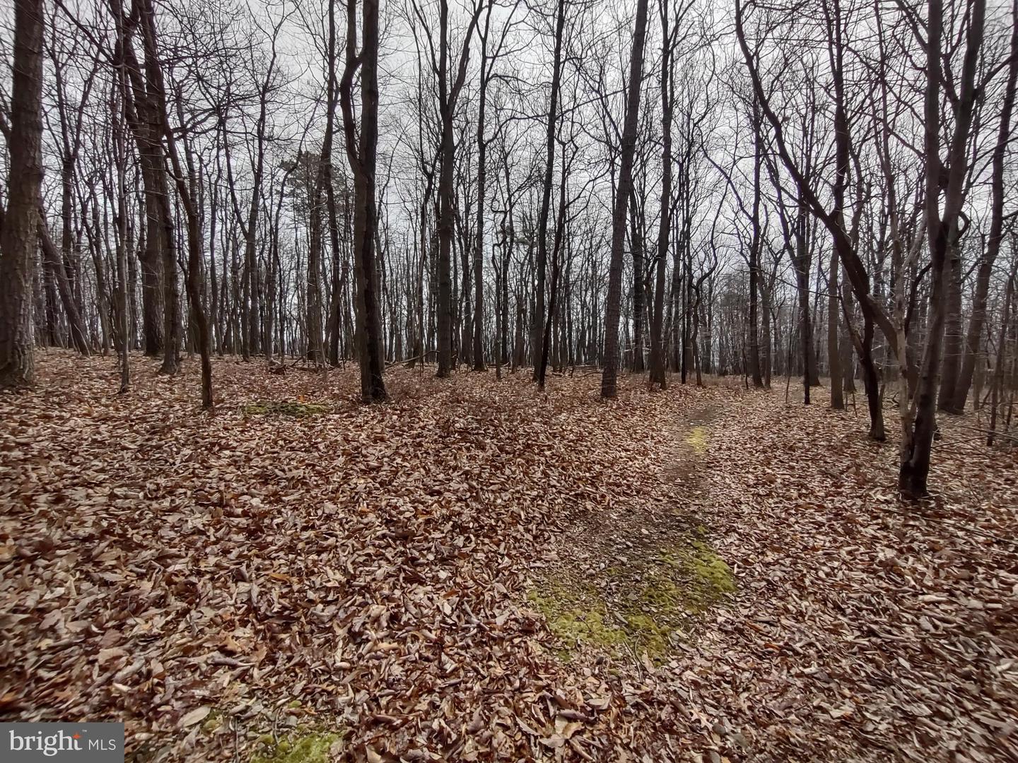 Lot Cold Springs Rd Property Photo 3