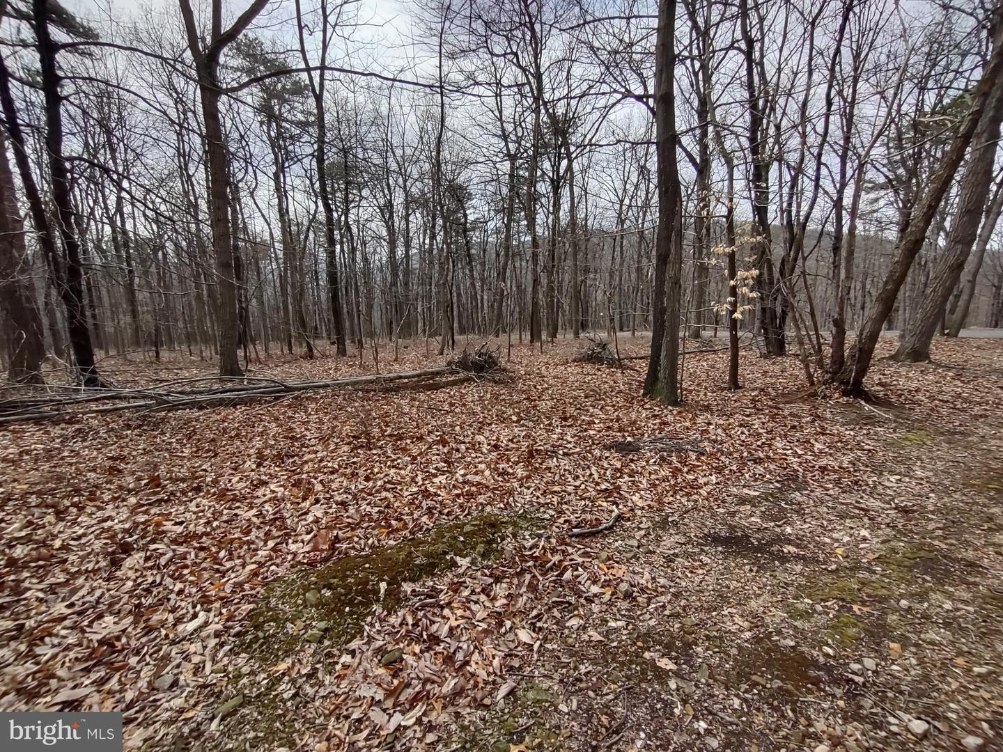 Lot Cold Springs Rd Property Photo 4