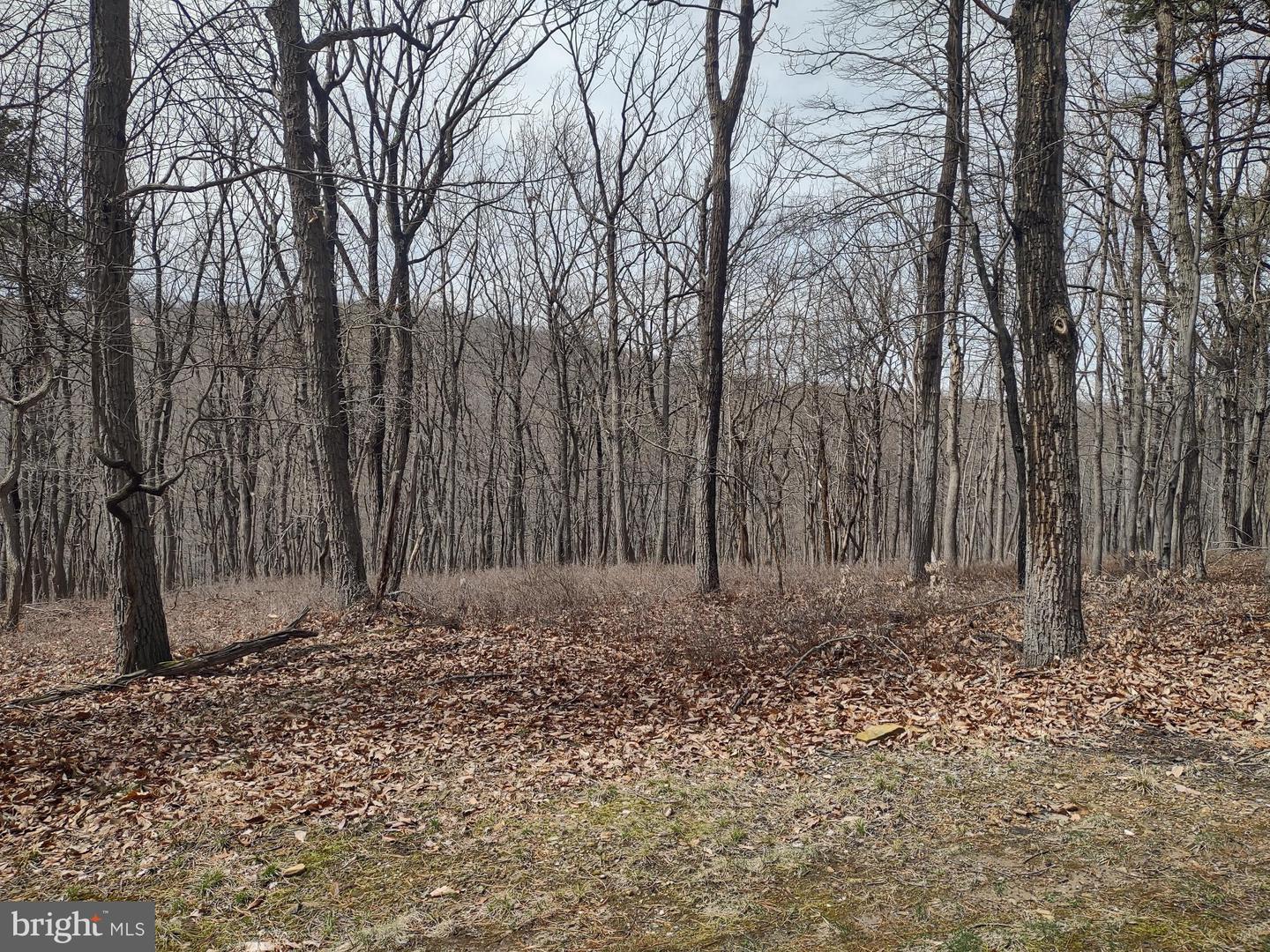 Lot Cold Springs Rd Property Photo 6