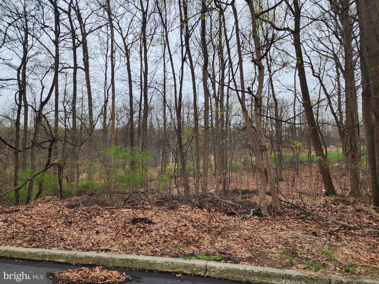 Lot 101b Elder Trl Property Photo 2