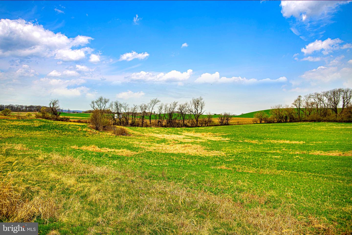 4075 Rolling Meadow Ct Property Photo 23