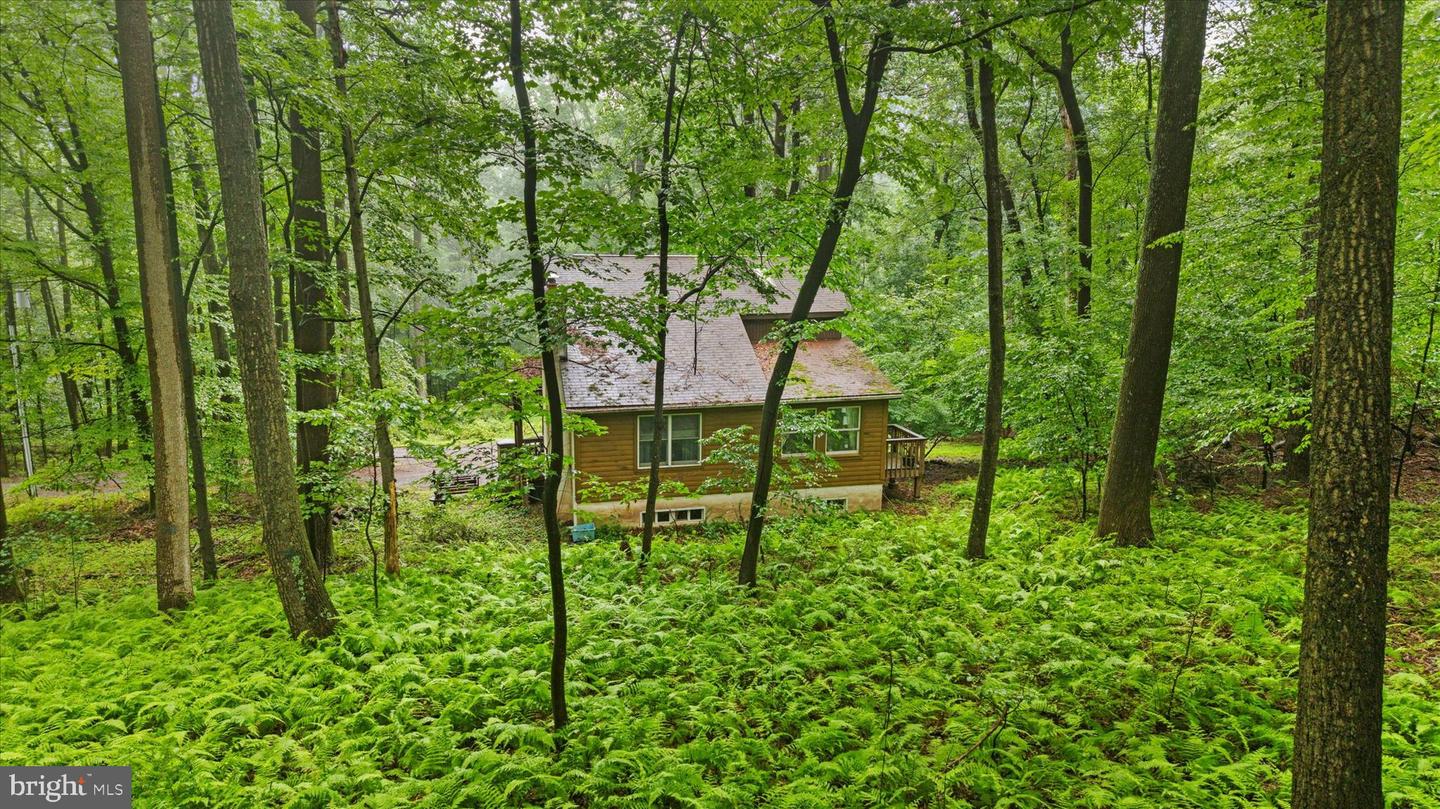 810 Moores Mountain Rd Property Photo 1