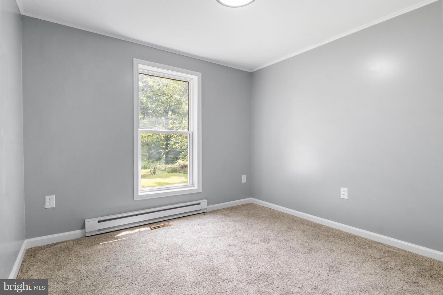 17181 Mount Airy Rd Property Photo 9