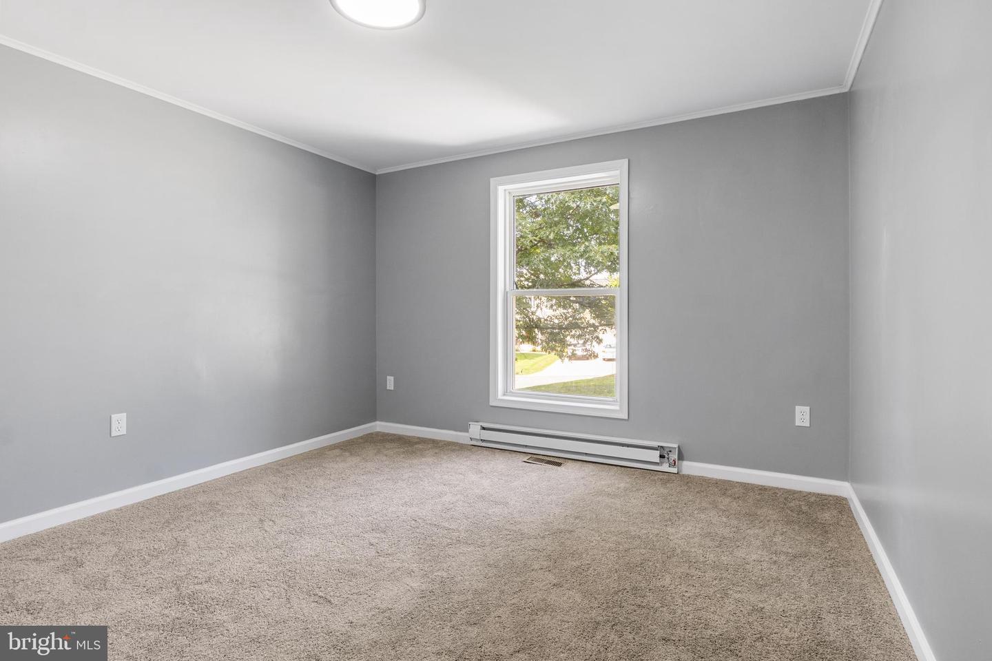 17181 Mount Airy Rd Property Photo 14