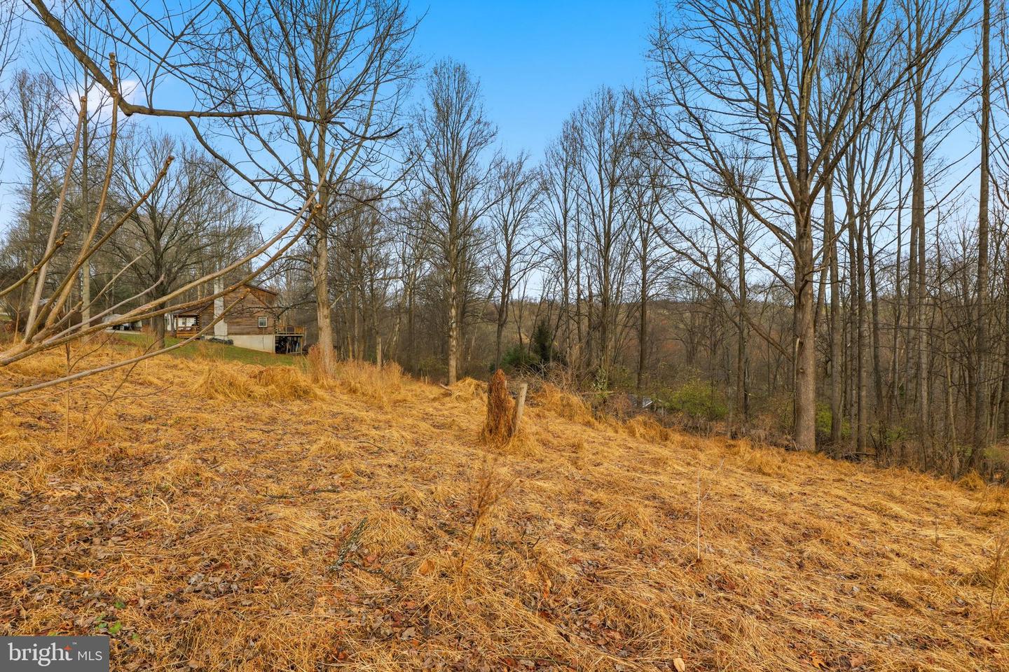 219 A Highfield Rd Property Photo 3