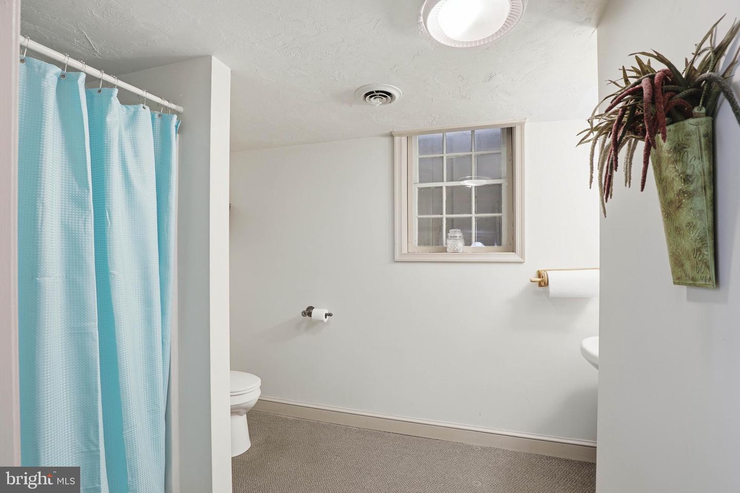 252 Frederick St Property Photo 72