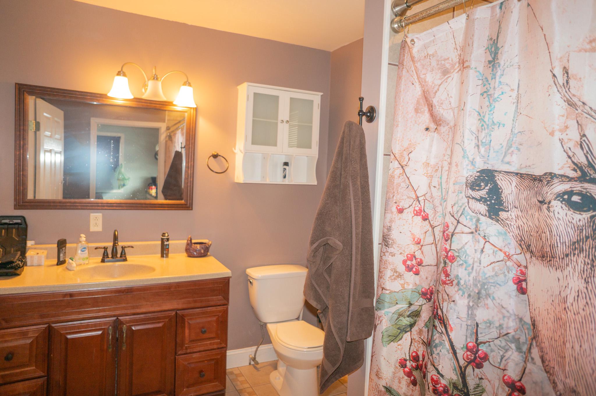 14803 Mt Olivet Rd Property Photo 19