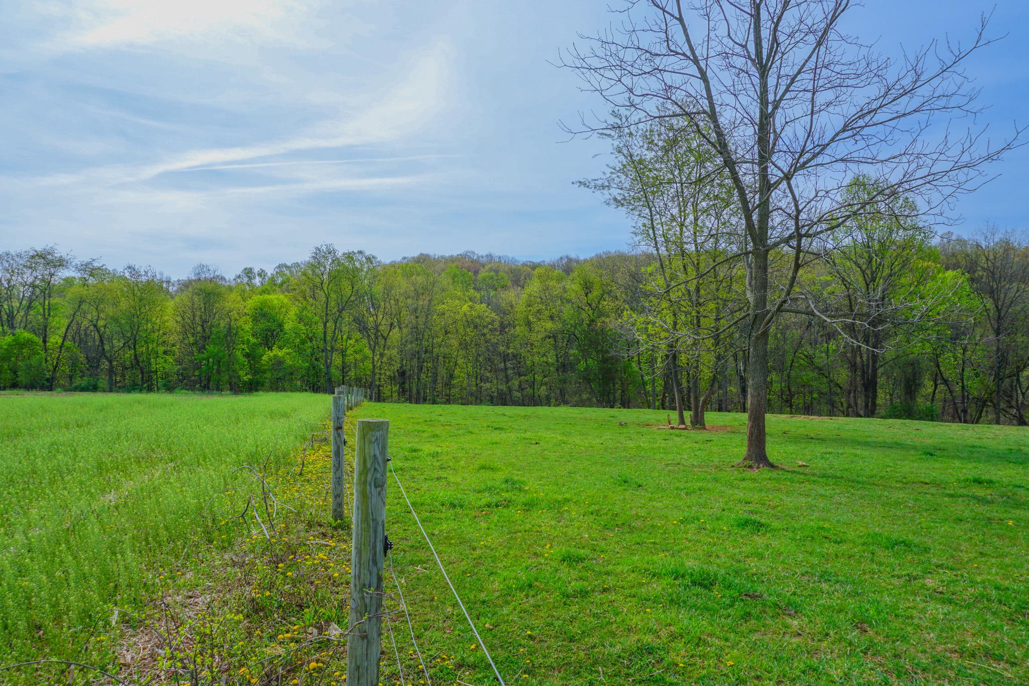14803 Mt Olivet Rd Property Photo 61