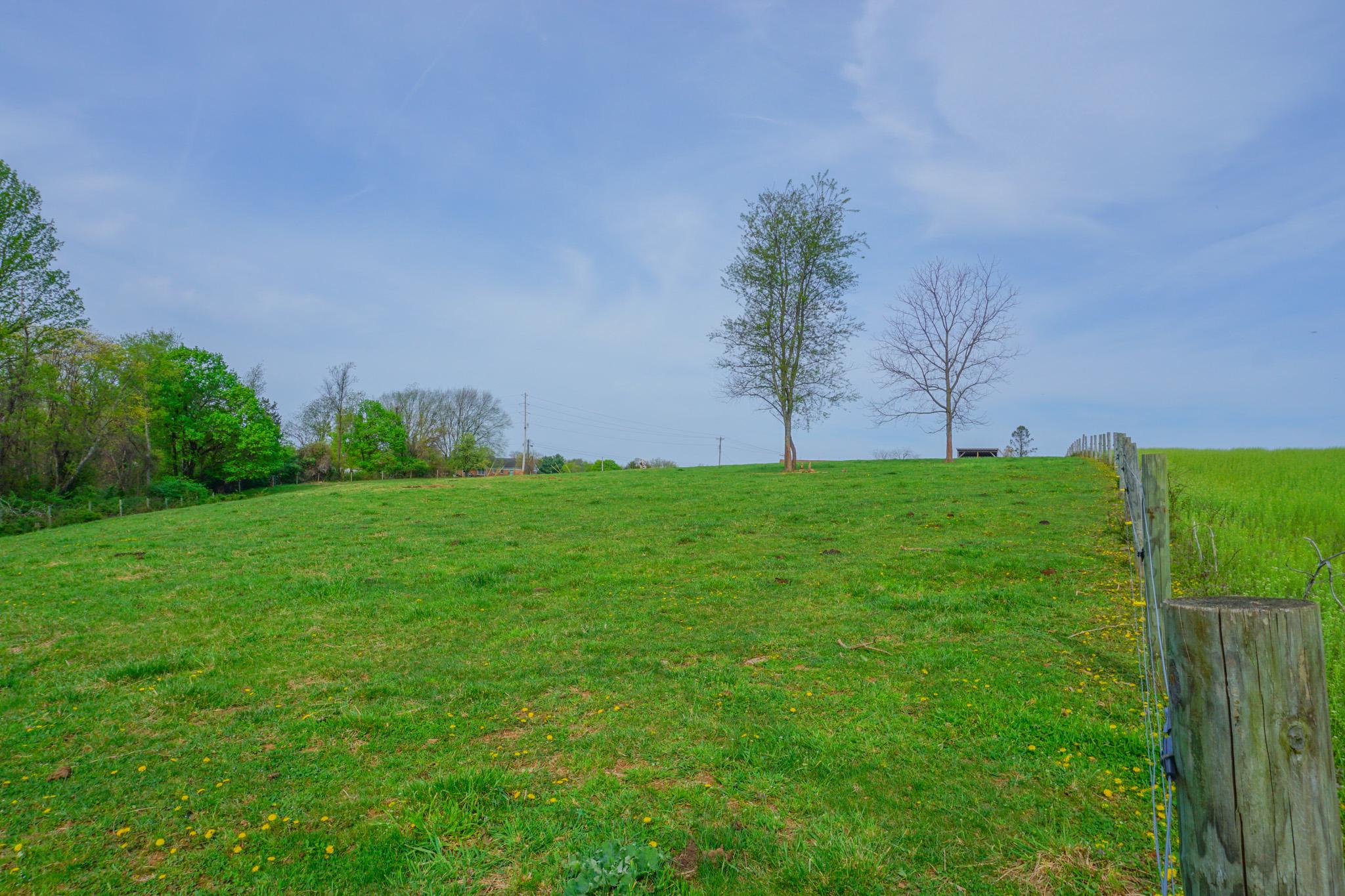 14803 Mt Olivet Rd Property Photo 63