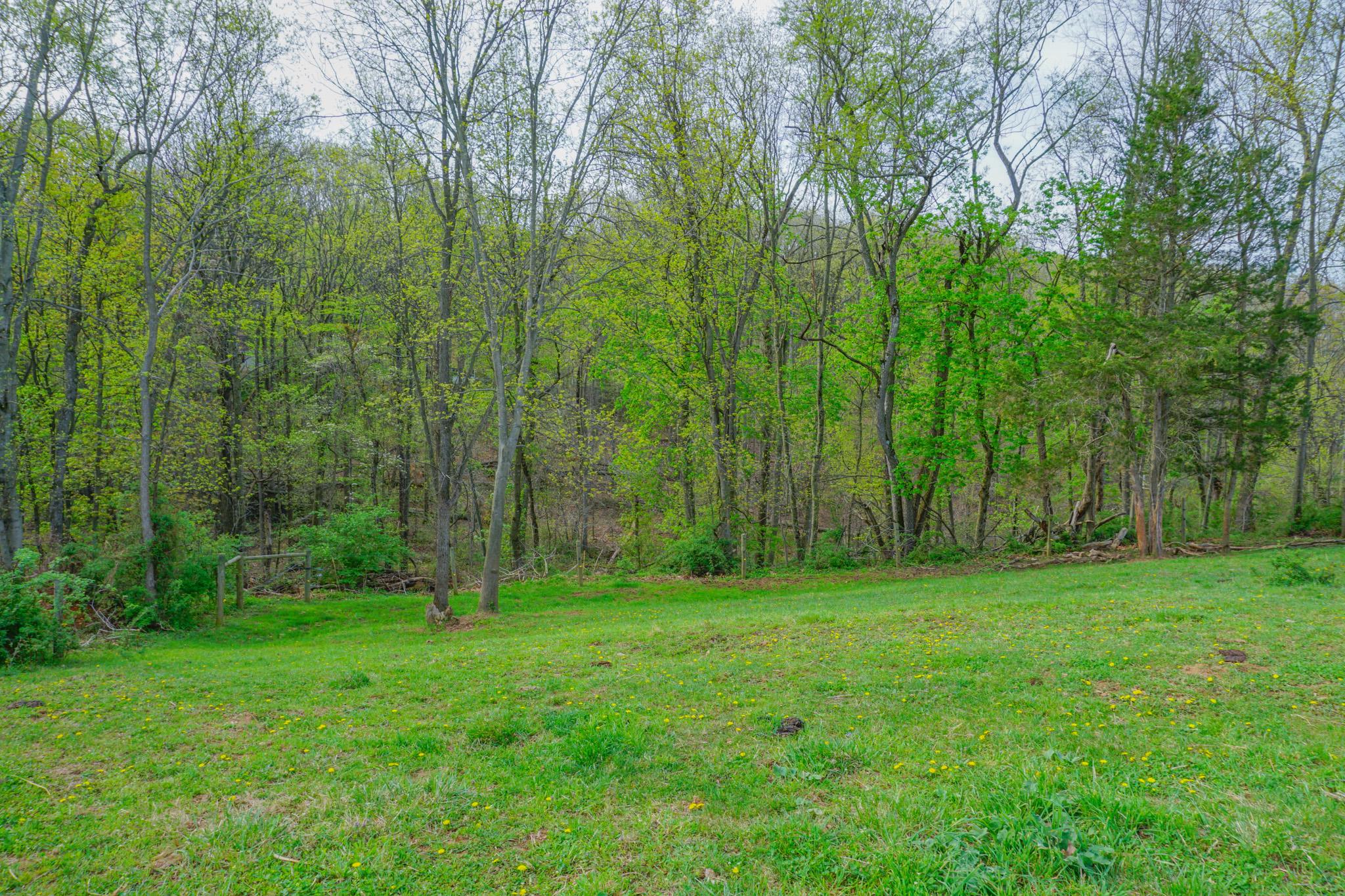 14803 Mt Olivet Rd Property Photo 65