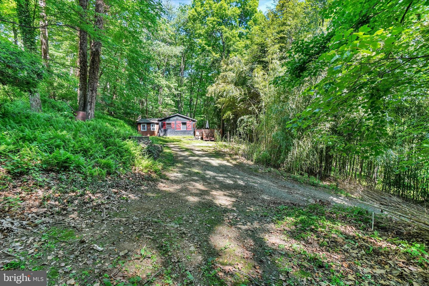 103 Ivy Hill Ln Property Photo 30