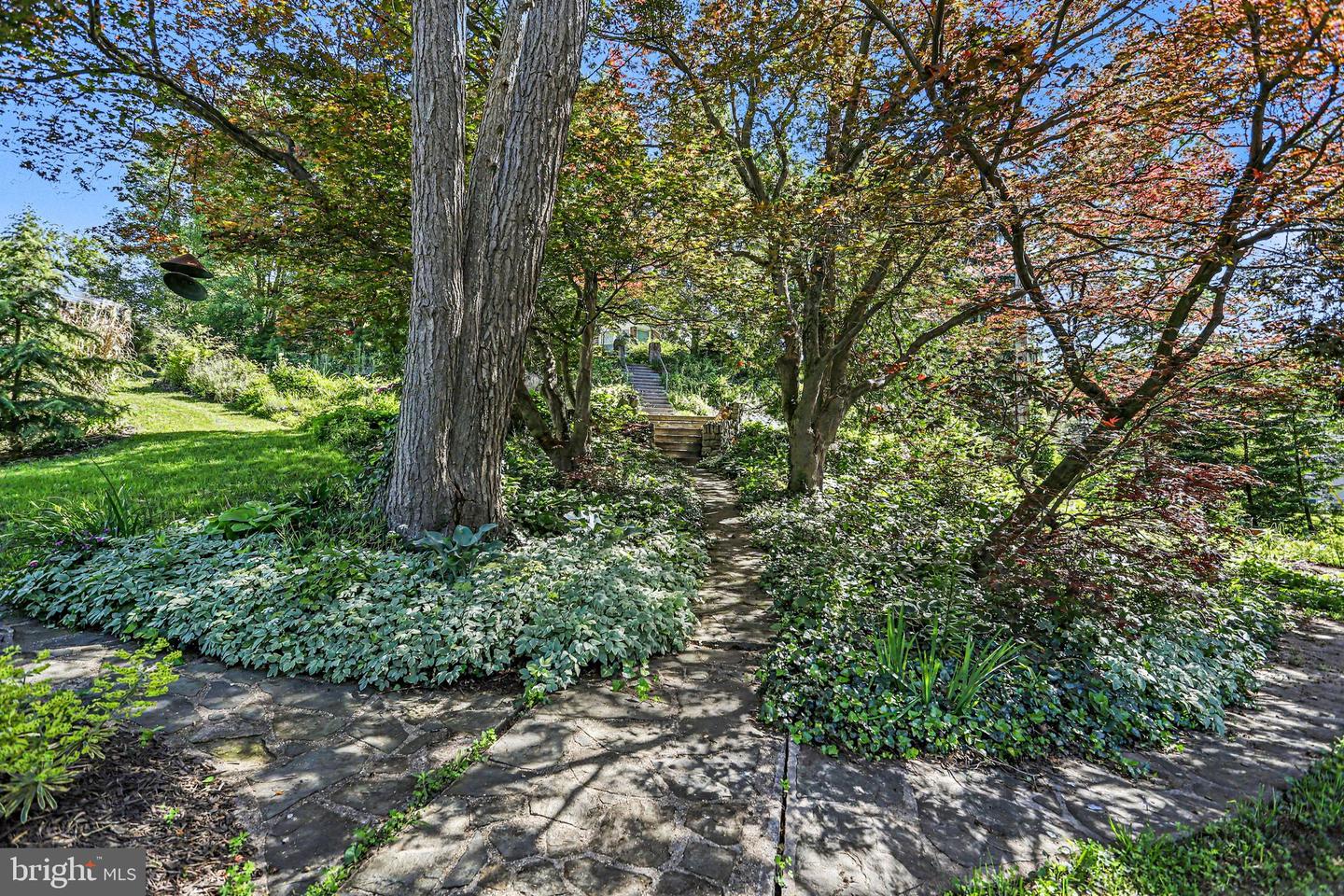 29 Hayward Hts Property Photo 41