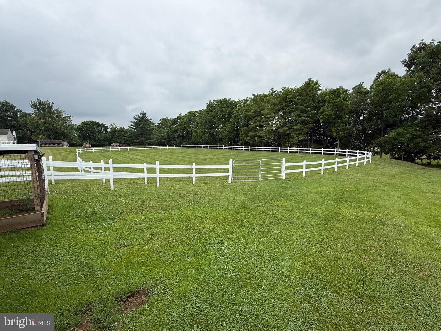 472 Scotch Pine Rd Property Photo 19