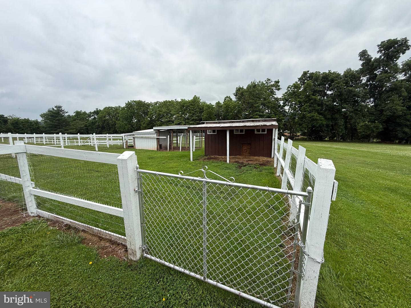 472 Scotch Pine Rd Property Photo 21