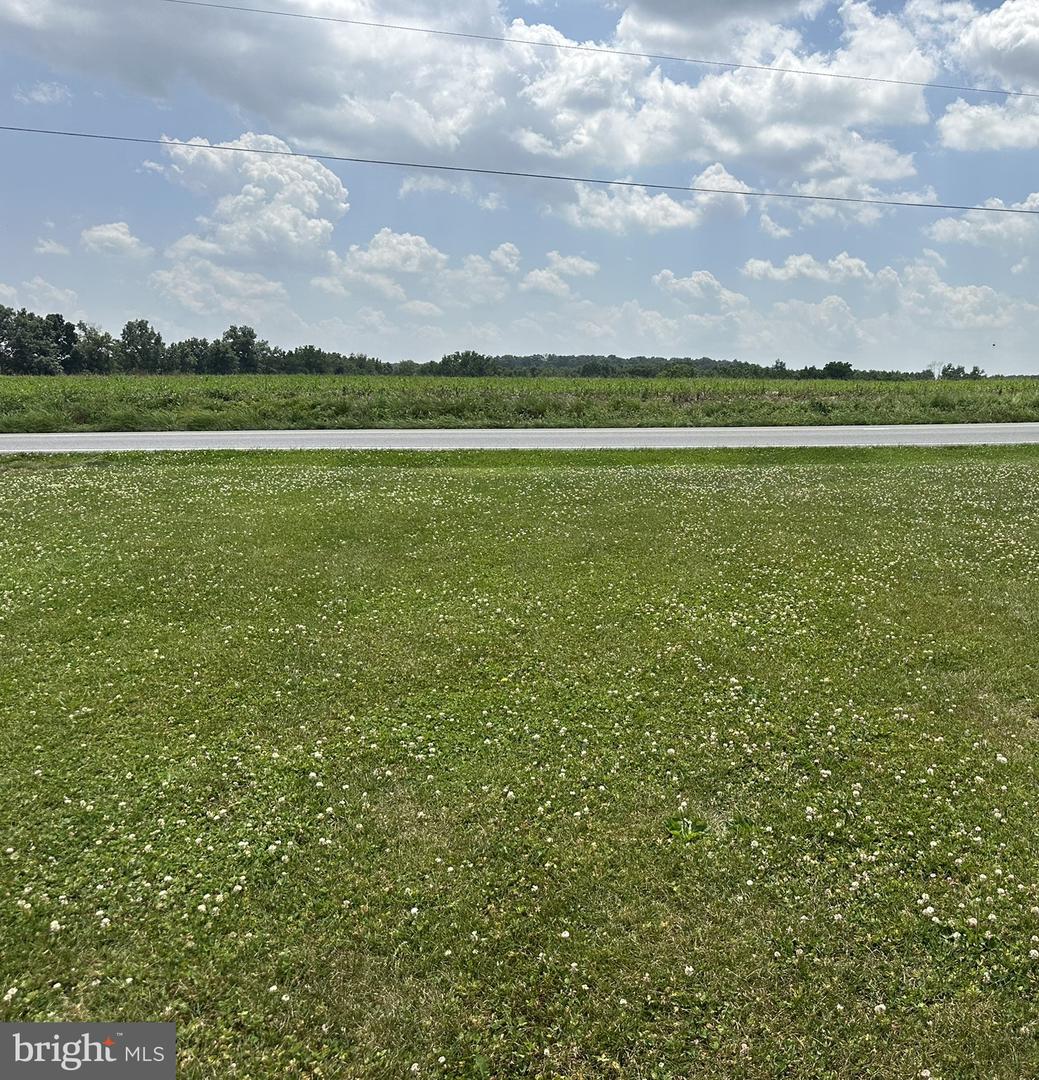 985 Fairview Dr Property Photo 4